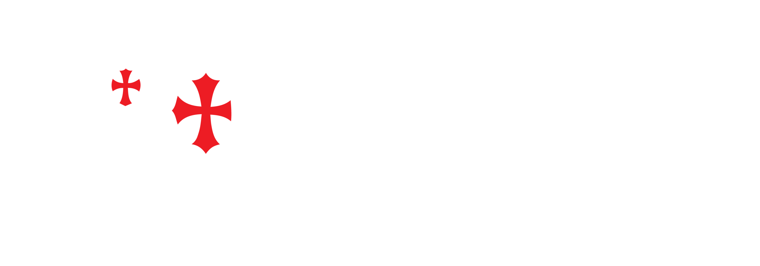 21st Century Templar Knights